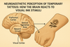 Neuroaesthetic Perception of Temporary Tattoos: How the Brain Reacts to Visual Ink Stimuli