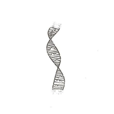 Eternal Code Temporary Tattoo 🧬✨Eternal Code Temporary Tattoo – Herbal Ink, Waterproof, 15 Days