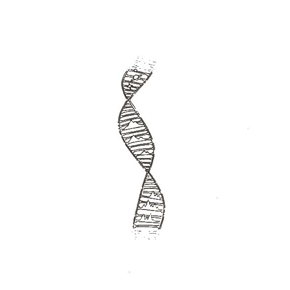 Eternal Code Temporary Tattoo 🧬✨Eternal Code Temporary Tattoo – Herbal Ink, Waterproof, 15 Days