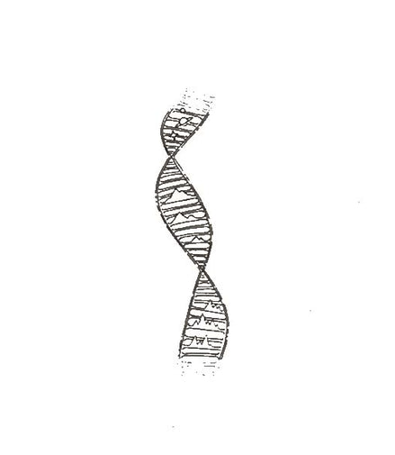 Eternal Code Temporary Tattoo 🧬✨Eternal Code Temporary Tattoo – Herbal Ink, Waterproof, 15 Days