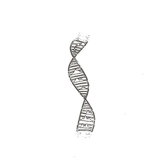 Eternal Code Temporary Tattoo 🧬✨Eternal Code Temporary Tattoo – Herbal Ink, Waterproof, 15 Days