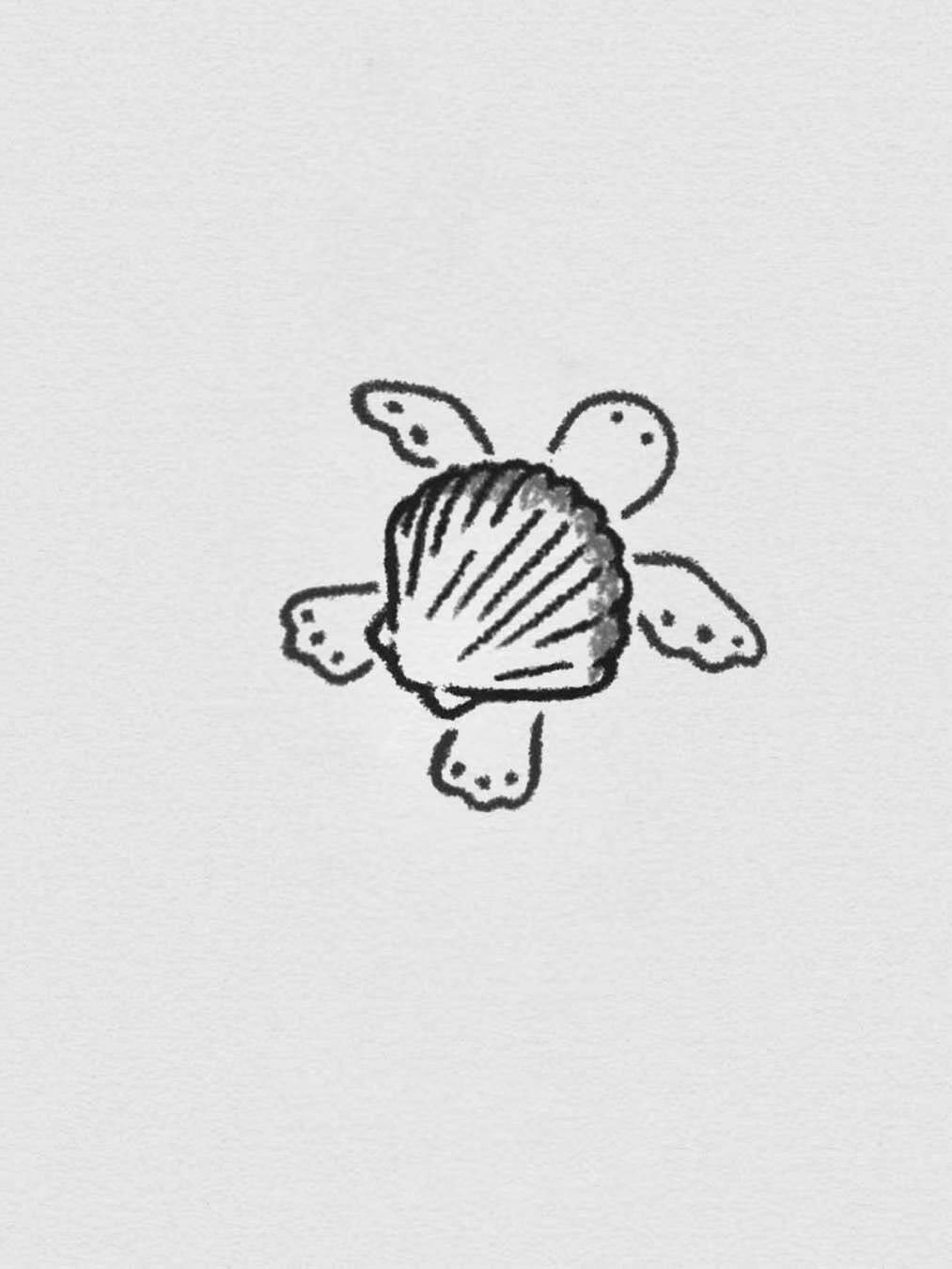 Charming Shell Turtle